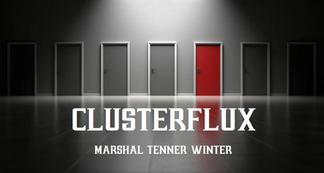 Cover art for Clusterflux